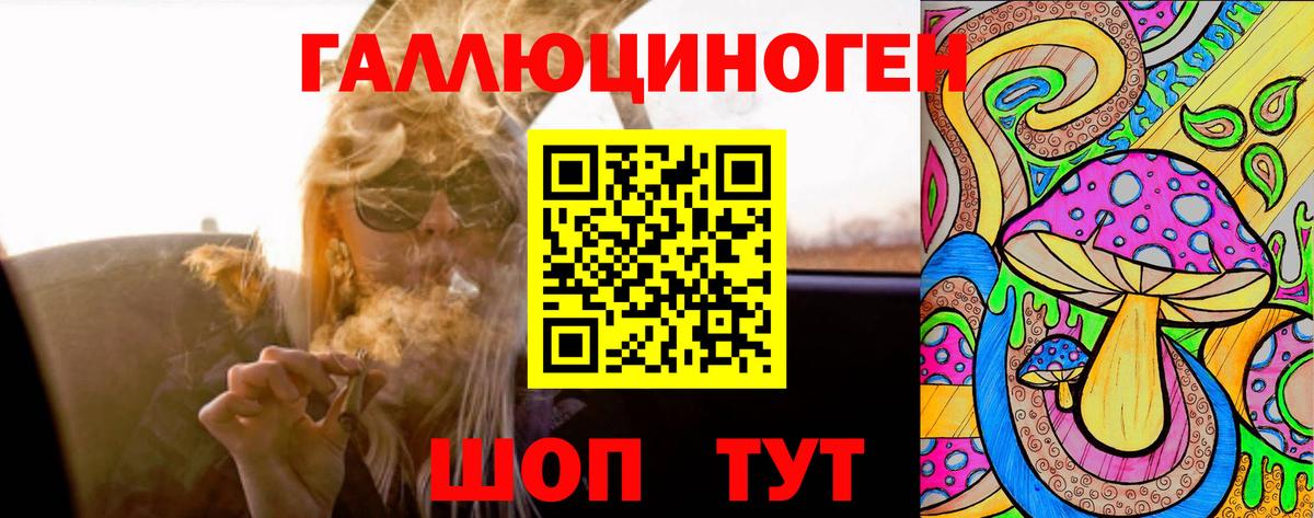 Заинск  Галлюциногенные грибы Psilocybe  Вход с VPN 